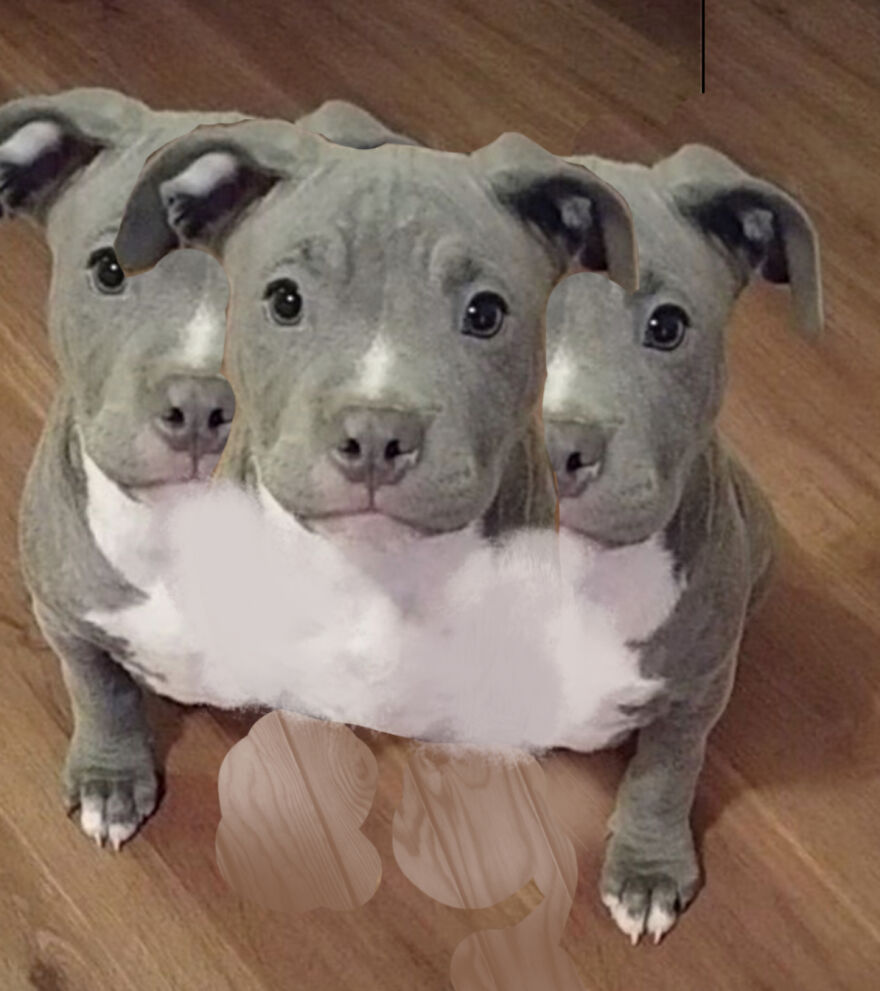 40 Low-Effort Photoshop Mythical Creatures