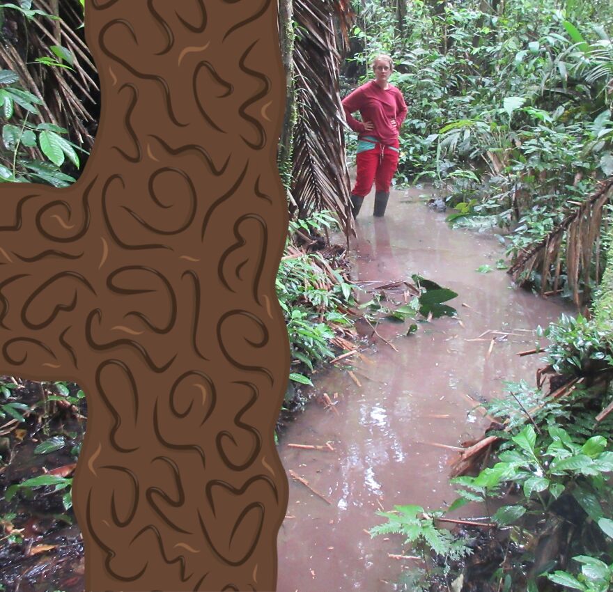 We Spent 2 Months In The Amazon And Made A Board Game About It!