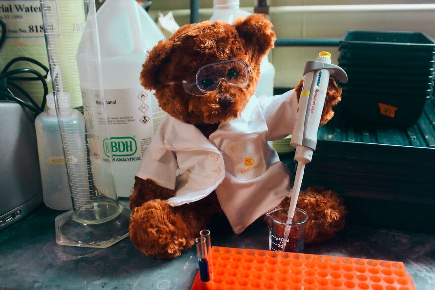 We Made These Adorable Scientist Teddy Bears For A Child Advocacy Center We Made These Adorable Scientist Teddy Bears For A Child Advocacy Center