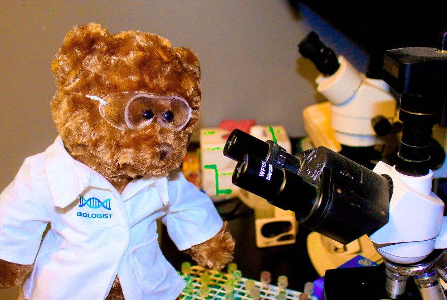 We Made These Adorable Scientist Teddy Bears For A Child Advocacy Center