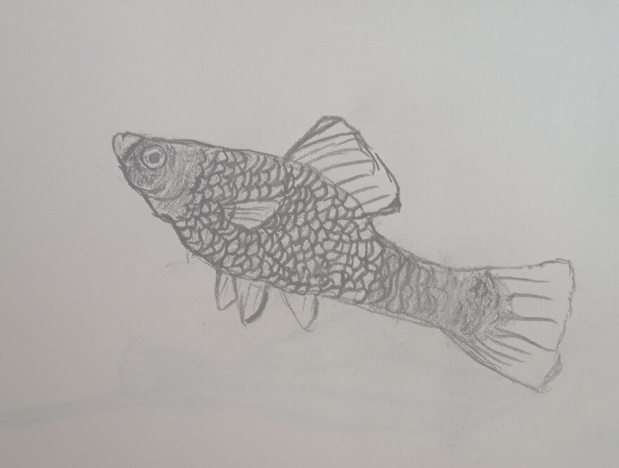 My Drawings 😁 My Drawings 😁