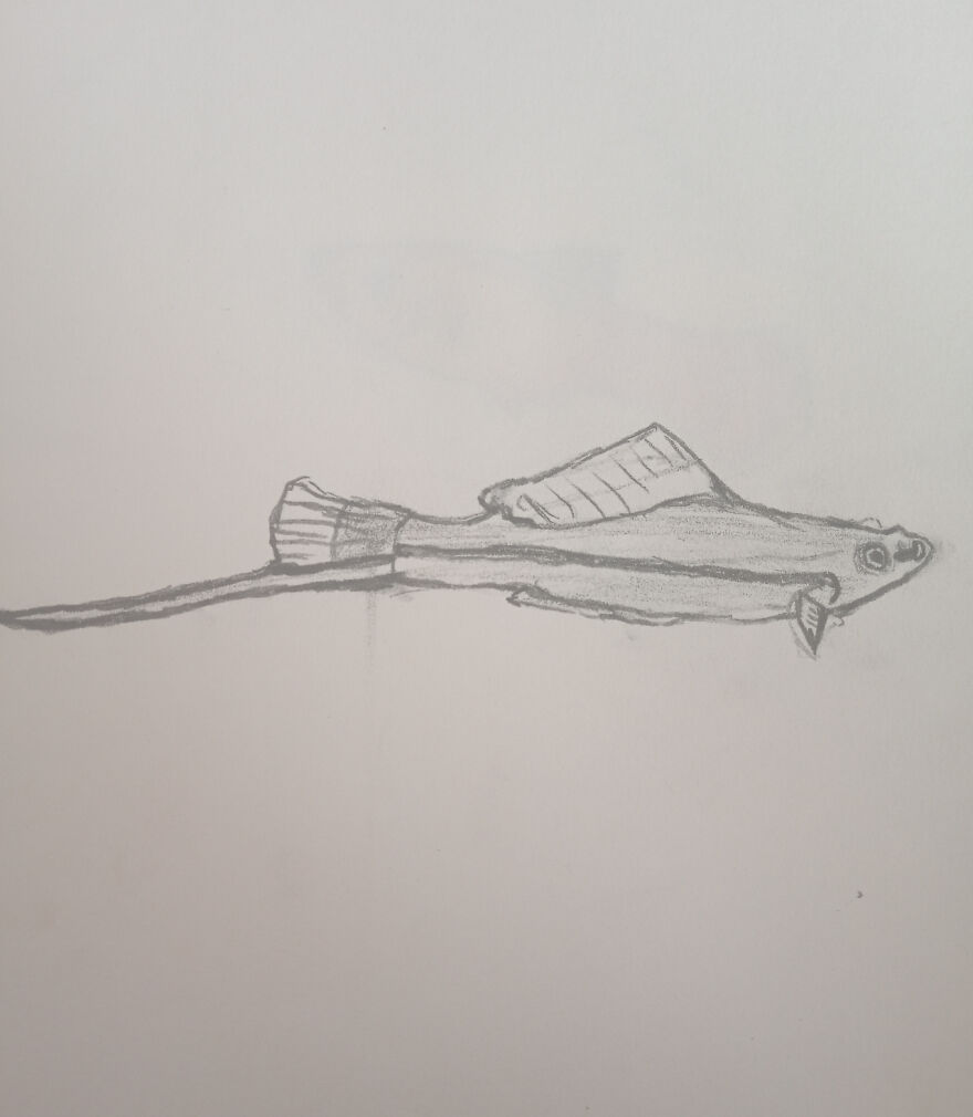 My Drawings 😁 My Drawings 😁