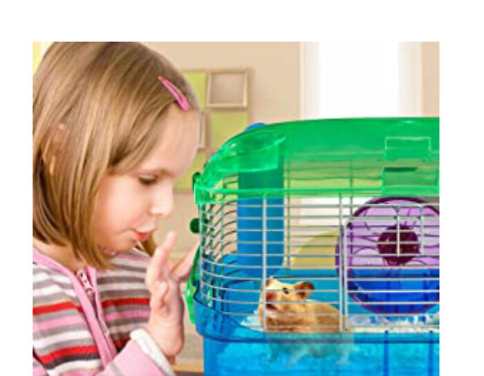 Here Is A Crittertrail Cage. They Are Under The Minimum For Hamsters, Mice, And Gerbils. And They Don’t Provide Enough Digging Space.