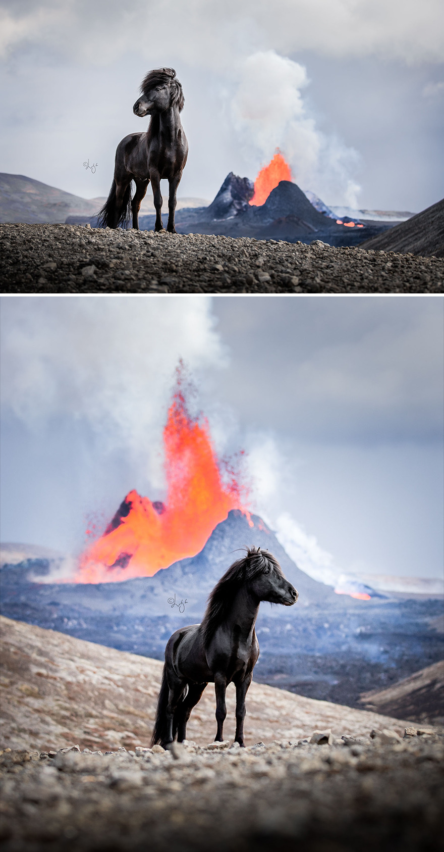 I Photograph Horses In Phenomenal Icelandic Landscapes (37 Pics)