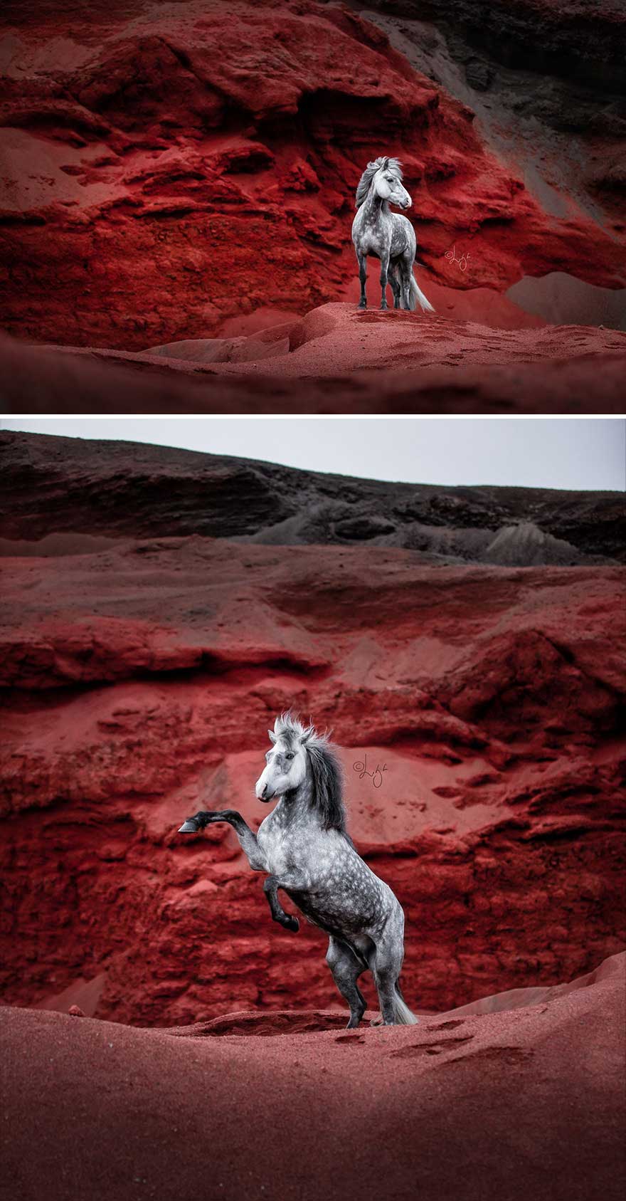 I Photograph Horses In Phenomenal Icelandic Landscapes (37 Pics)