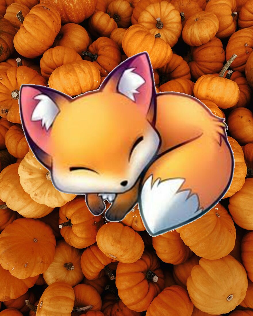 I Edited Animals In Places They Don't Belong In