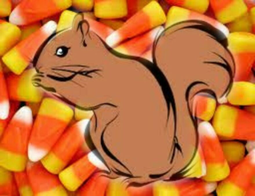 I Edited Animals In Places They Don't Belong In