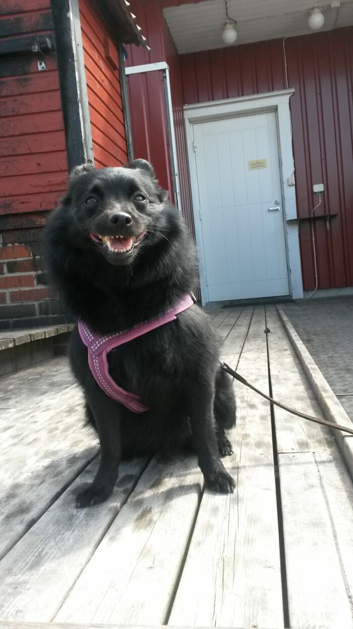 Our Little "Captain" During A Boating Trip To A Nearby Fish Smokery