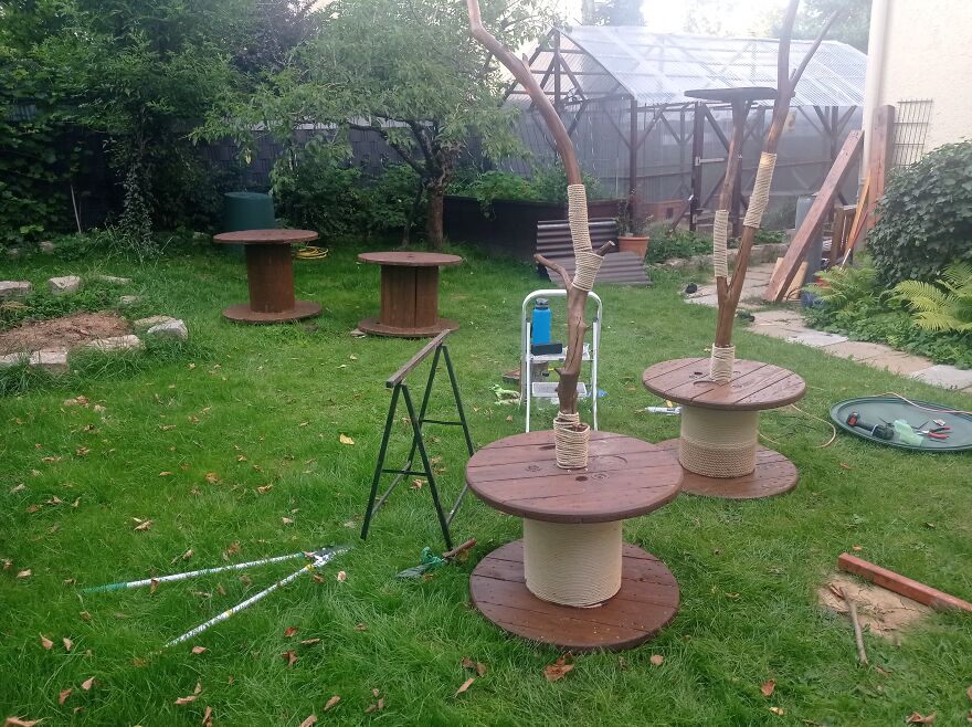 I Build My Cats Their Own Garden