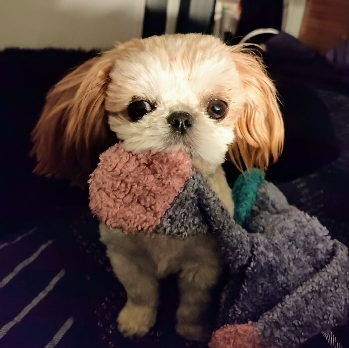 It's Mina's Bedtime With Her Lovey.