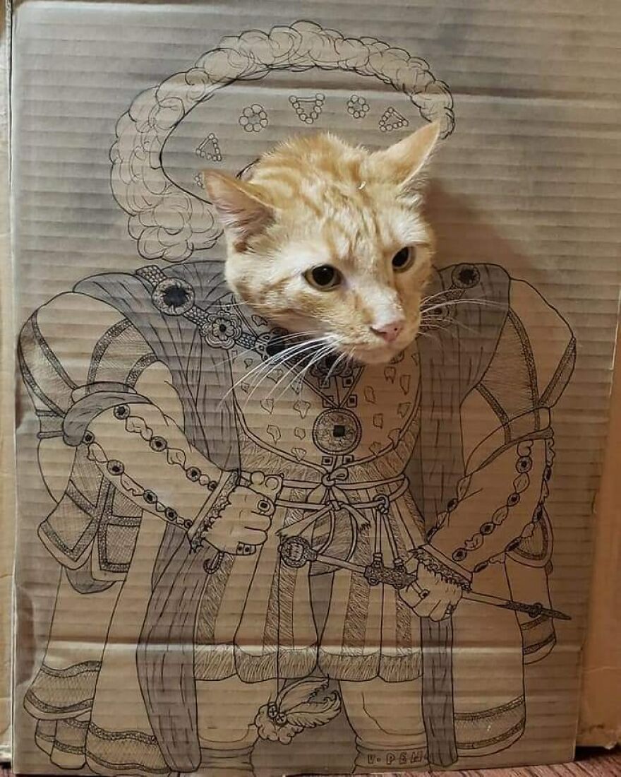 Henry The Cat And Boxes