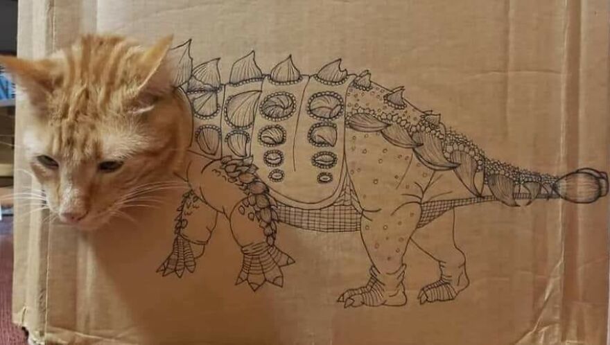 Henry The Cat And Boxes