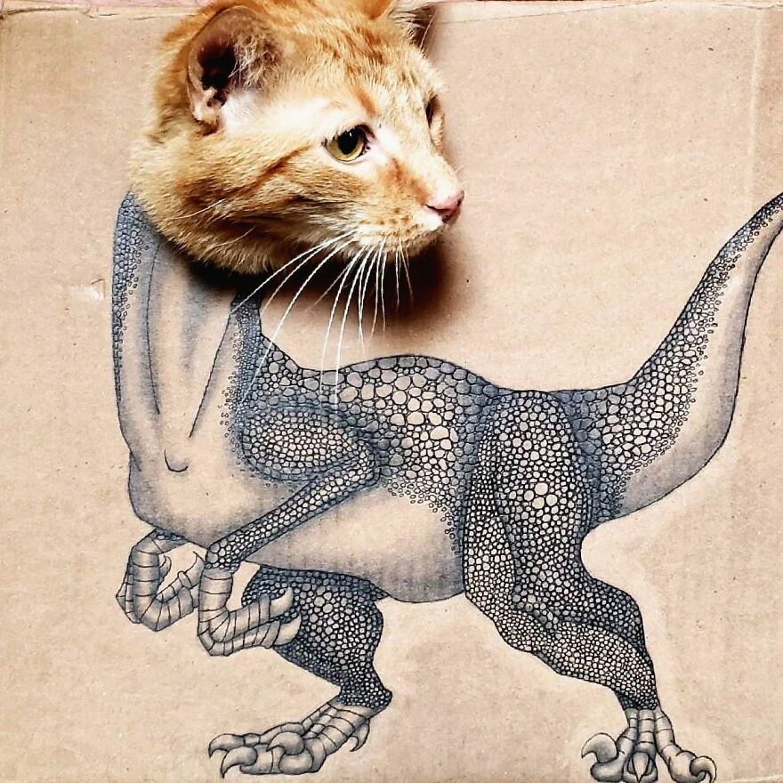 Henry The Cat And Boxes