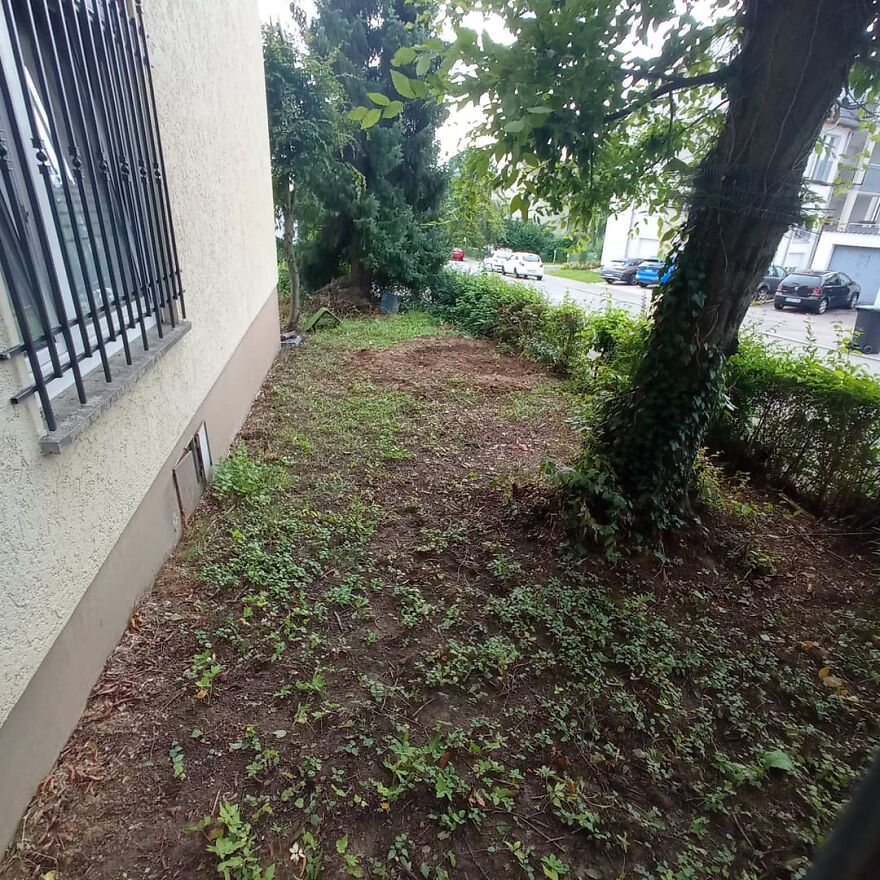 I Build My Cats Their Own Garden