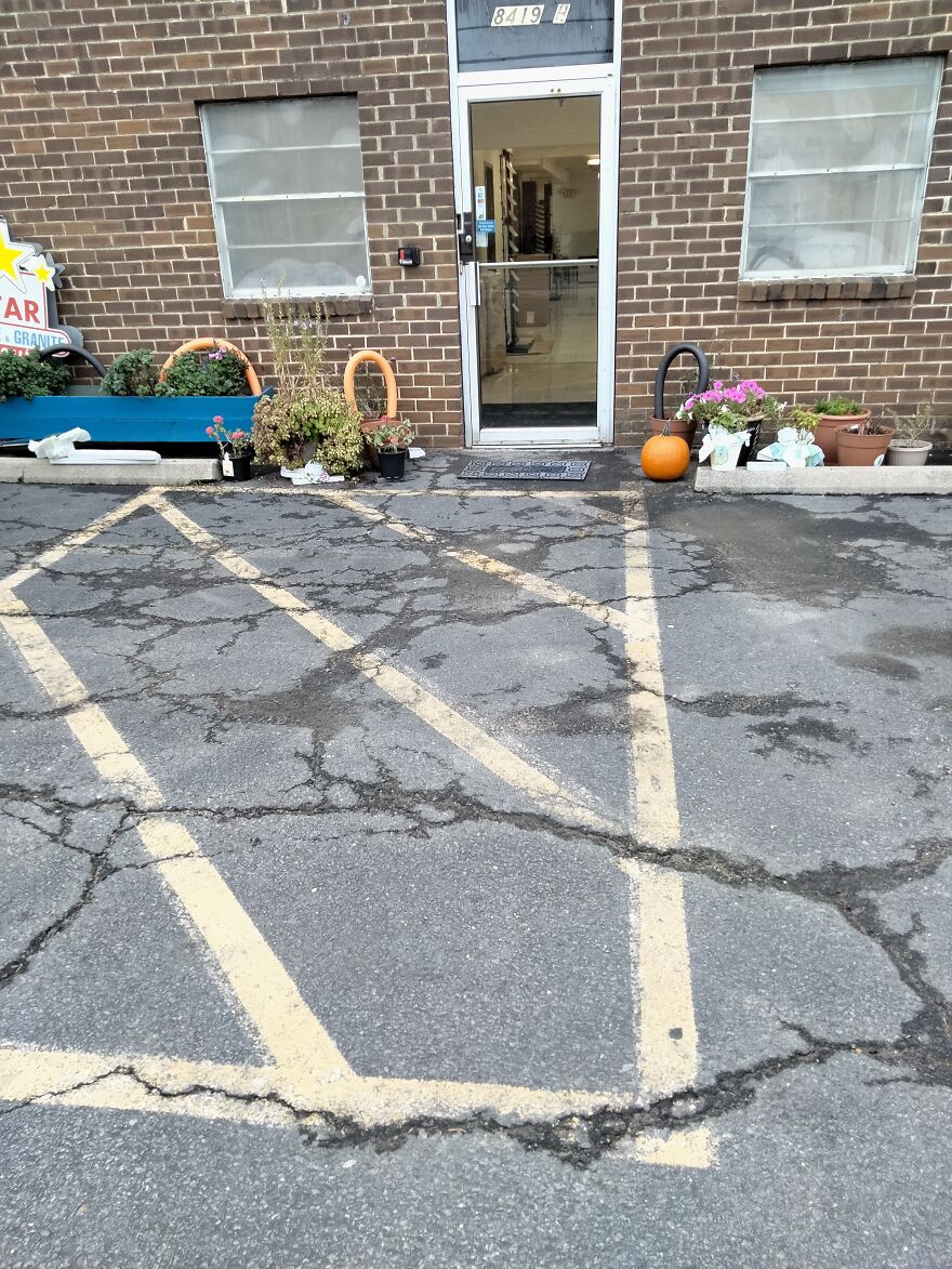 Nehla Zikria's Creations