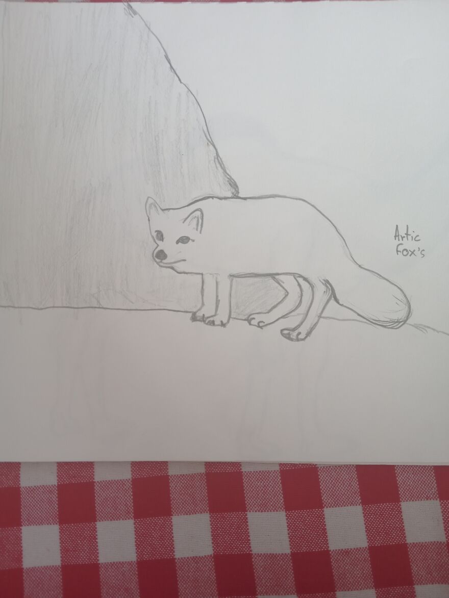 My Drawings 😁 My Drawings 😁