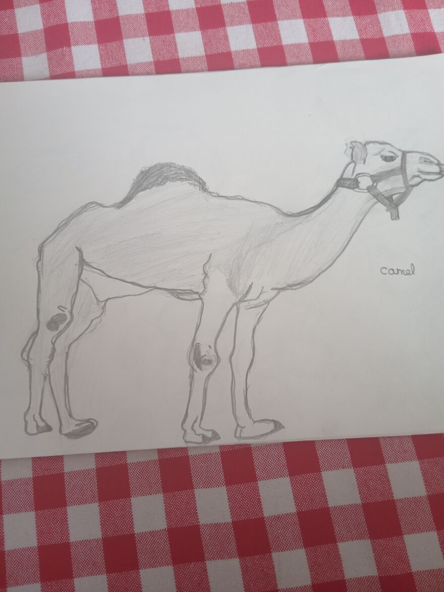 My Drawings 😁 My Drawings 😁