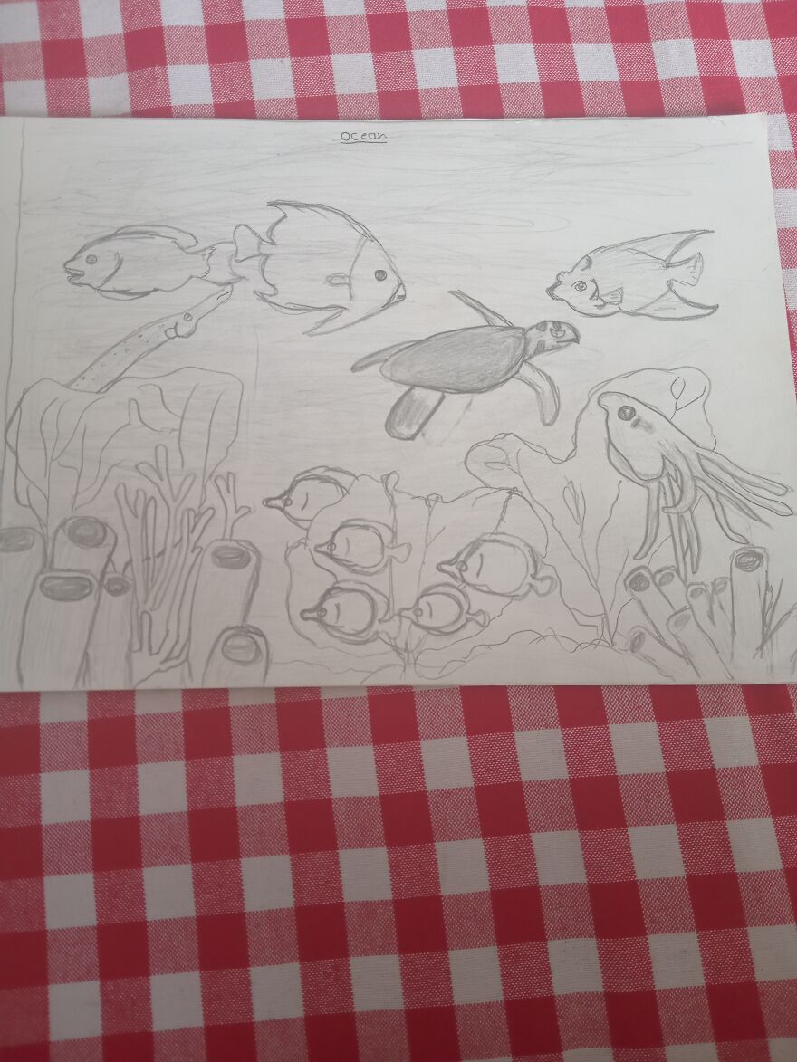 My Drawings 😁 My Drawings 😁