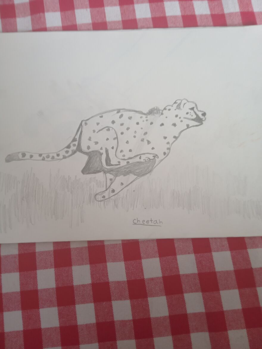 My Drawings 😁 My Drawings 😁