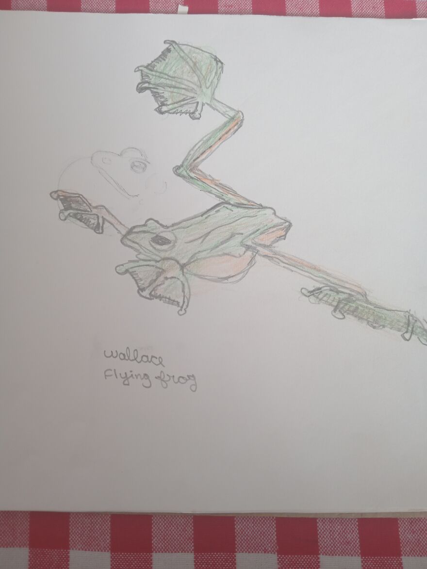 My Drawings 😁 My Drawings 😁