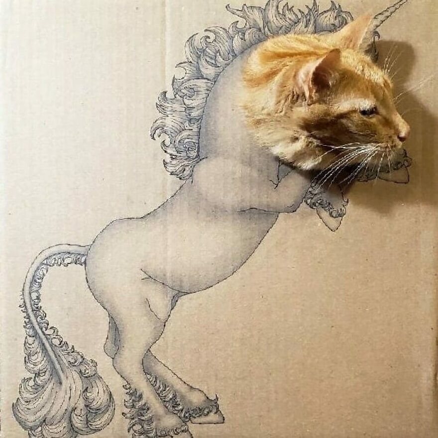 Henry The Cat And Boxes