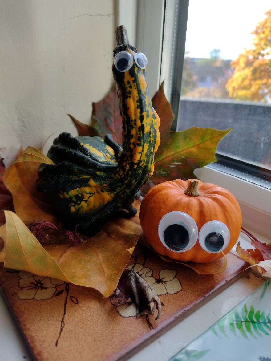 My Halloween Pumpkins From The Past Few Years