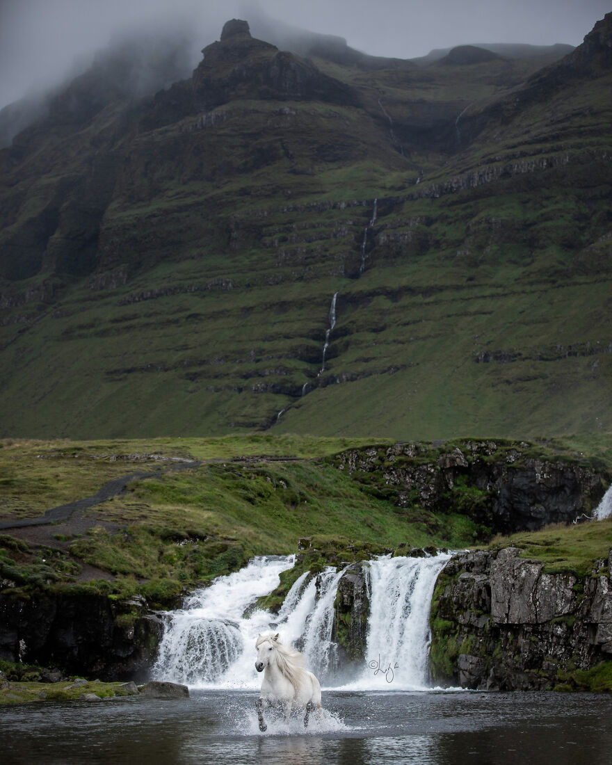 I Photograph Horses In Phenomenal Icelandic Landscapes (37 Pics)