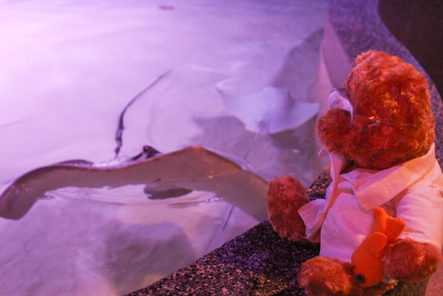 We Made These Adorable Scientist Teddy Bears For A Child Advocacy Center We Made These Adorable Scientist Teddy Bears For A Child Advocacy Center