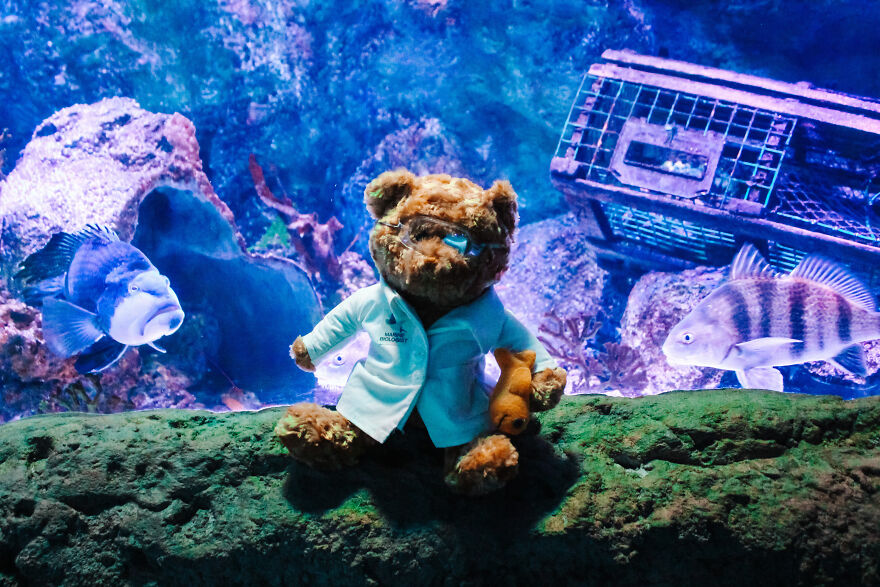 We Made These Adorable Scientist Teddy Bears For A Child Advocacy Center