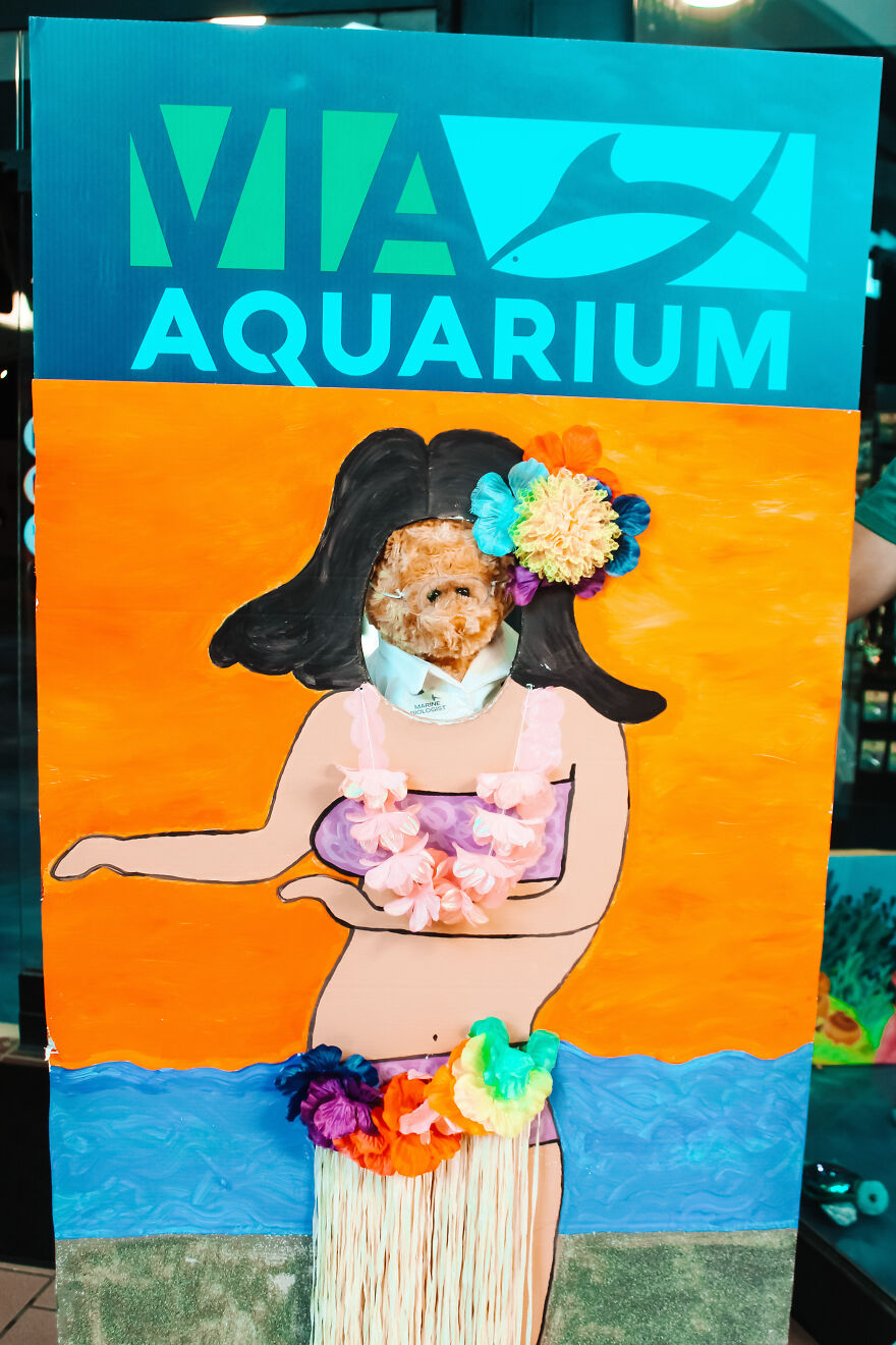 We Made These Adorable Scientist Teddy Bears For A Child Advocacy Center We Made These Adorable Scientist Teddy Bears For A Child Advocacy Center