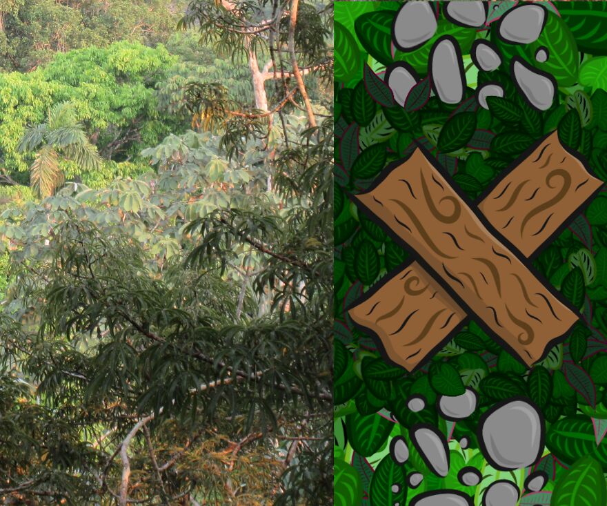 We Spent 2 Months In The Amazon And Made A Board Game About It! We Spent 2 Months In The Amazon And Made A Board Game About It!