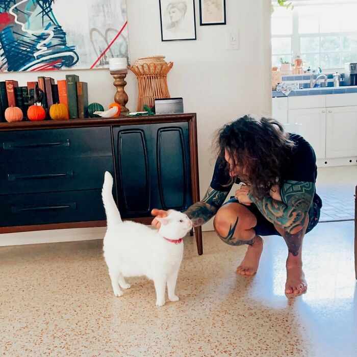 Meet Tuna, A Cat Who Befriends Delivery Men And Her Owner Posts About It On Instagram