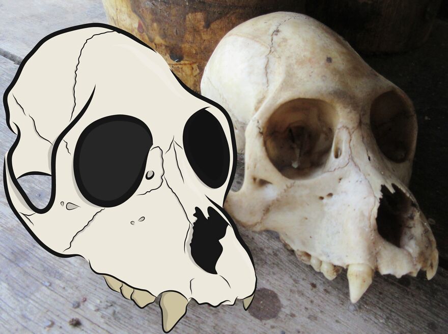 We Spent 2 Months In The Amazon And Made A Board Game About It! We Spent 2 Months In The Amazon And Made A Board Game About It!