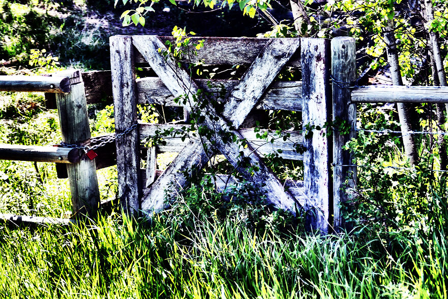 More Recent Road Trips In And Around Calgary Alberta