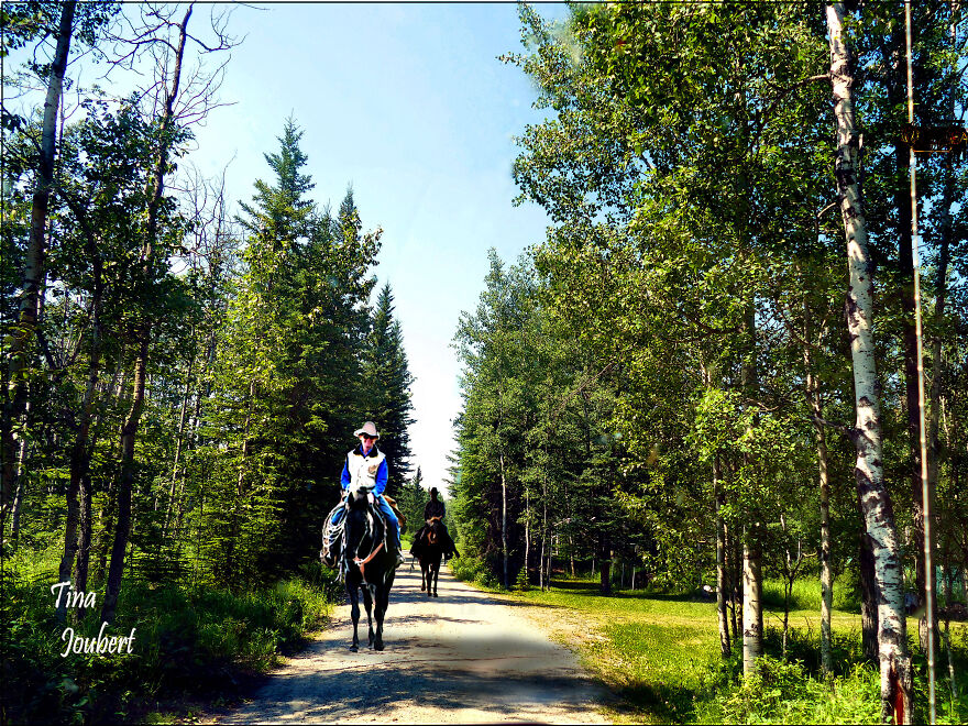 More Recent Road Trips In And Around Calgary Alberta