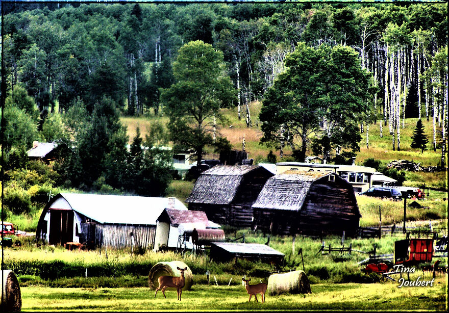 More Recent Road Trips In And Around Calgary Alberta