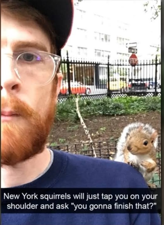 NY-Squirrels-615a4a1032819.jpg