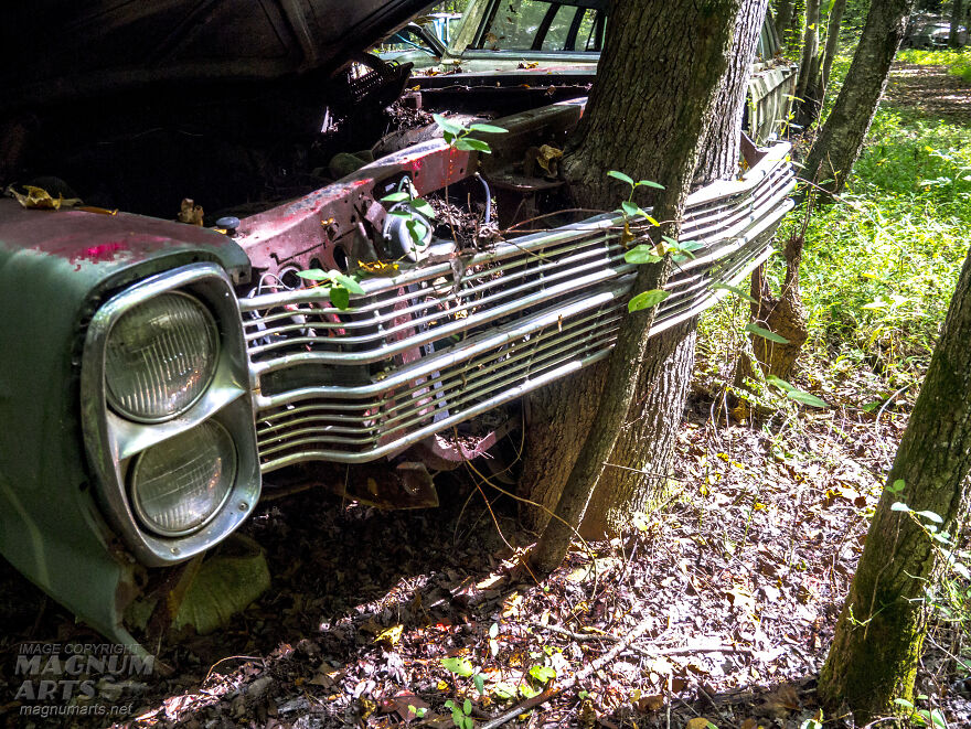 I Took Pictures In Old Car City, A Classic Car Graveyard (23 Pics)