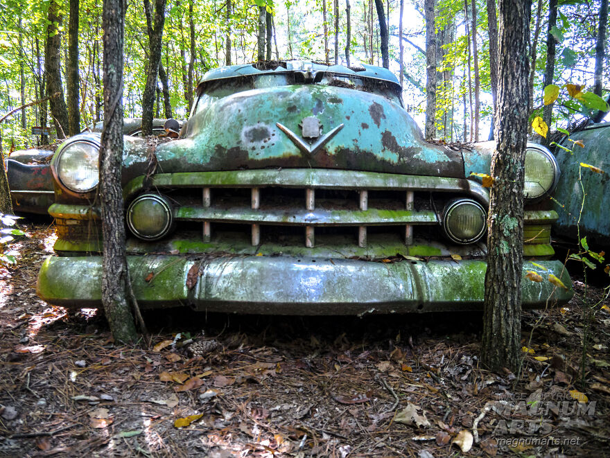 I Took Pictures In Old Car City, A Classic Car Graveyard (23 Pics)