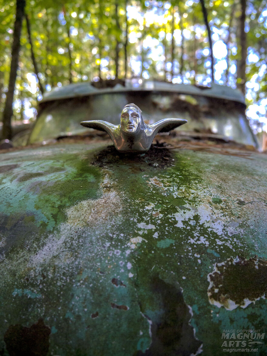 I Took Pictures In Old Car City, A Classic Car Graveyard (23 Pics)