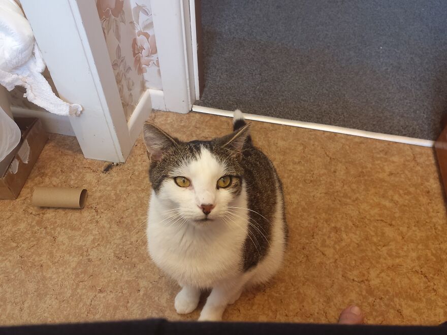 Please Post A Picture Of Your Stuffed Animal Please Post A Picture Of Your Stuffed Animal