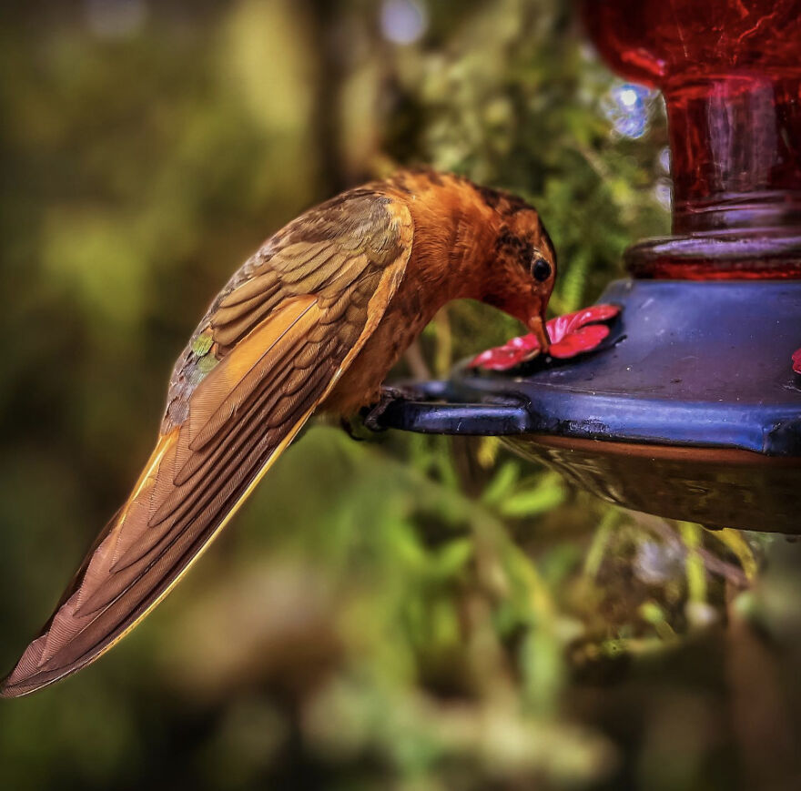 I Spent A Week Riding A Motorcycle Through Colombia I Spent A Week Riding A Motorcycle Through Colombia