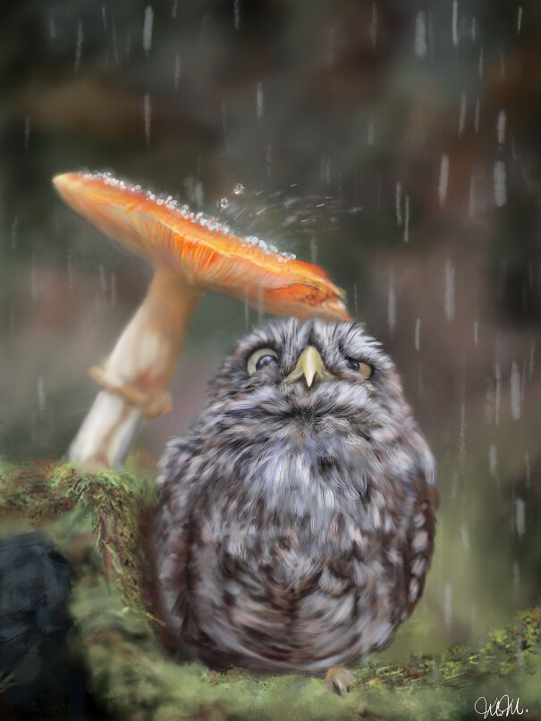Rainy-day-for-an-owl-Photoshop-digital-painting-low-617471612cd0e-png.jpg