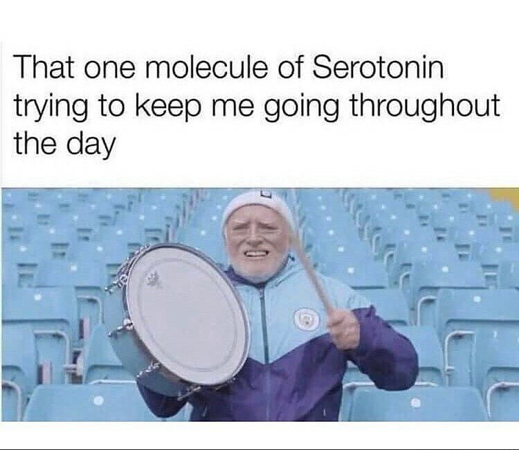 Hey Pandas, Show Us The Memes You Have On Your Phone (Closed)