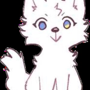 umedasomasiri11c-16 avatar