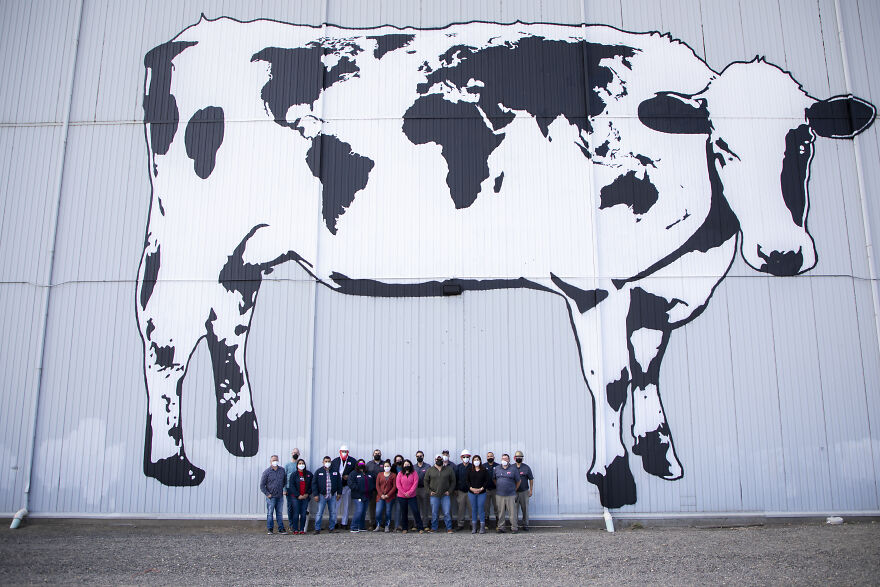 We Painted The Biggest Cow In The World We Painted The Biggest Cow In The World
