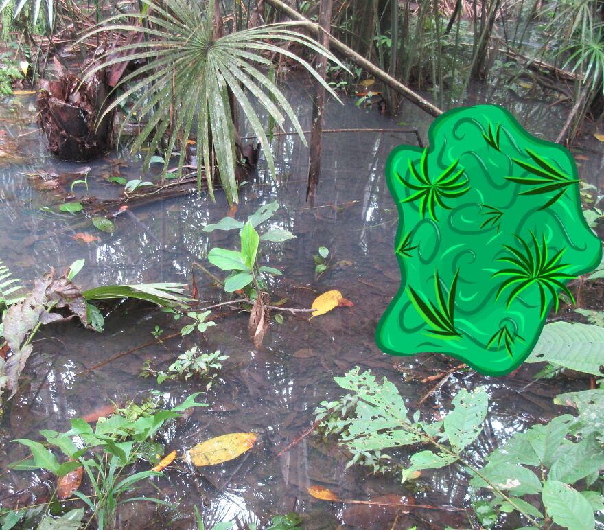 We Spent 2 Months In The Amazon And Made A Board Game About It! We Spent 2 Months In The Amazon And Made A Board Game About It!