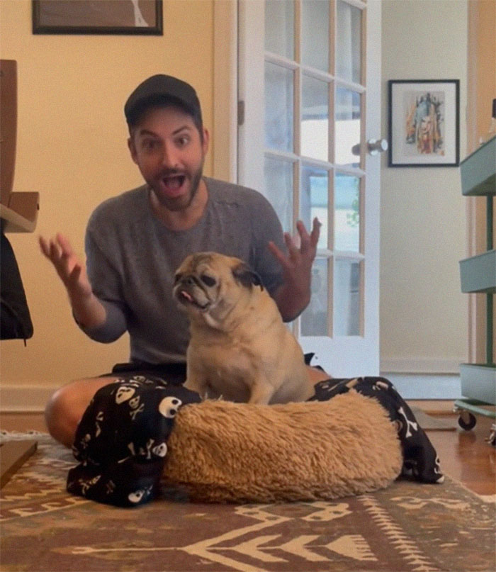 TikTok Video Of A Pug Being Way Too Lazy Goes Viral