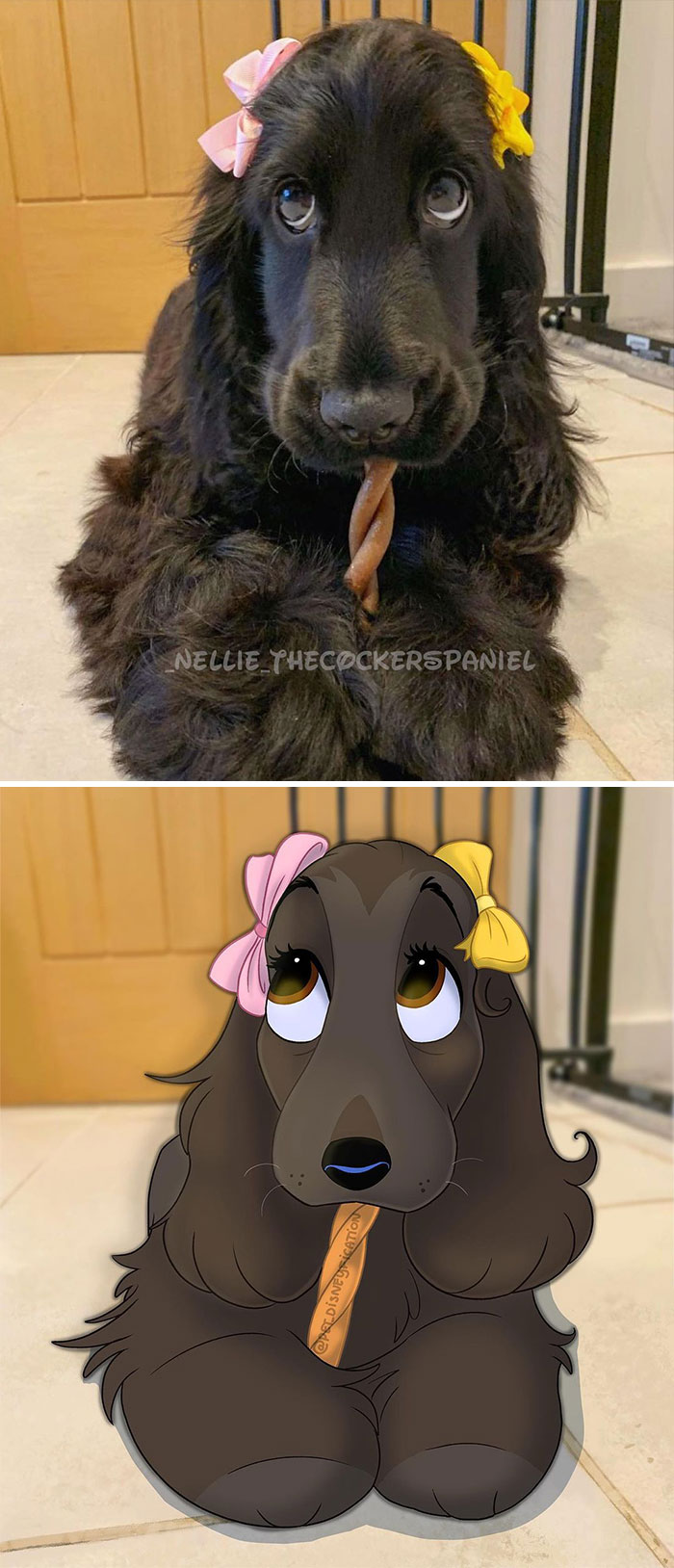 People Send Pics Of Their Pets To This Artist And She Disneyfies Them (30 New Pics)