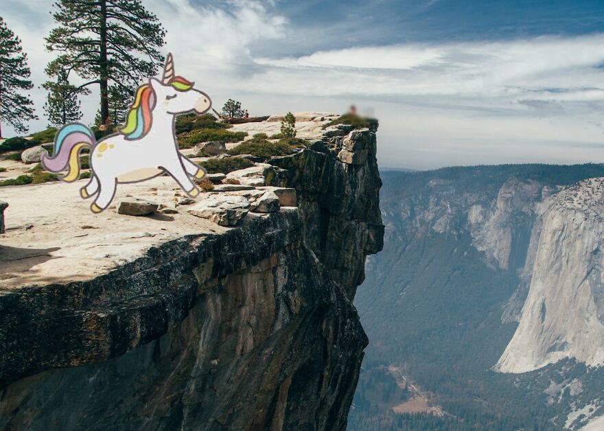 I Edited Animals In Places They Don't Belong In